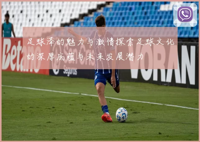足球泽的魅力与激情探索足球文化的深厚底蕴与未来发展潜力