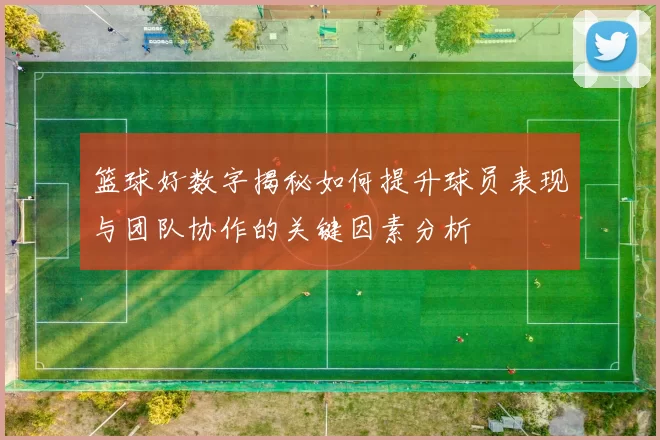 篮球好数字揭秘如何提升球员表现与团队协作的关键因素分析
